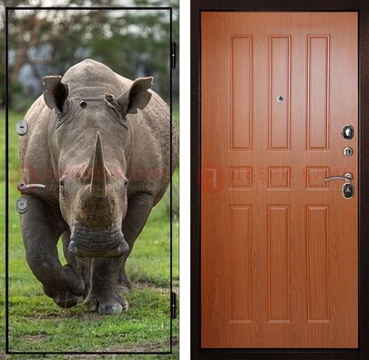 Металлическая дверь с фотопечатью носорога ДФ-31 в Нижнем Новгороде